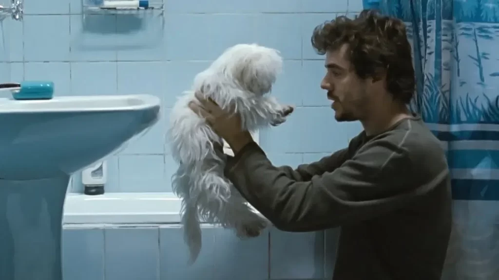 Qué ver en HBO Max: 3 películas argentinas aclamadas por la crítica