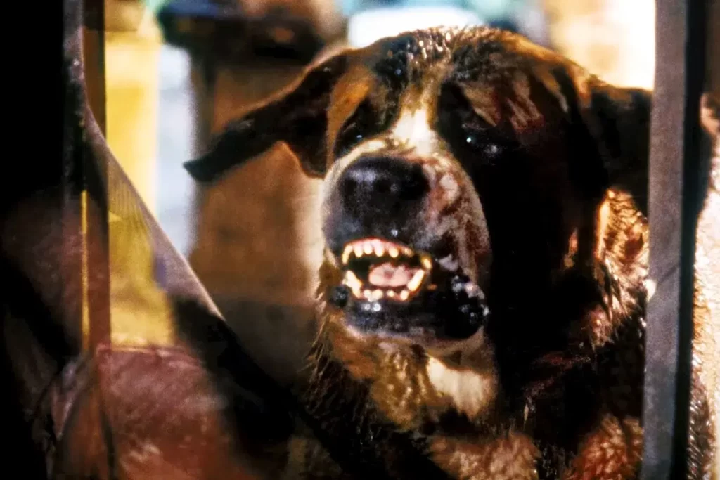 4 películas donde los perros son criaturas terroríficas